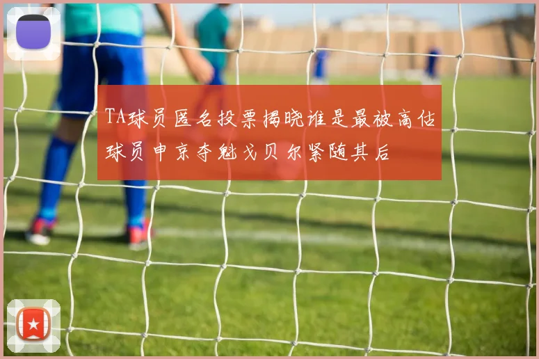 TA球员匿名投票揭晓谁是最被高估球员申京夺魁戈贝尔紧随其后